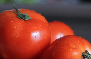 Food Tips Tomatoes